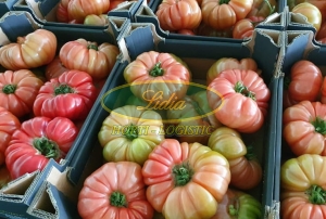 POMIDOR BUFFALOPINK 250 N