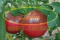 POMIDOR LOARA 250 n#2