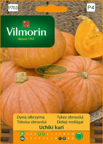DYNIA OZDOBNA I JADALNA UCHIKI KURI 3g