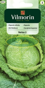 KAPUSTA WŁOSKA PÓŻNA 2 g