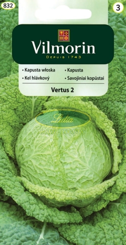 KAPUSTA WŁOSKA PÓŻNA 2 g