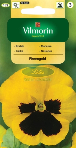 BRATEK SZWAJCARSKI FIRNENGOLD 0,5 g