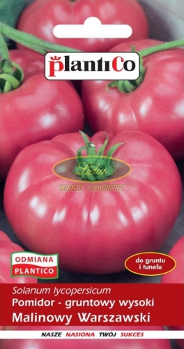 POMIDOR MALINOWY WARSZAWSKI 10g