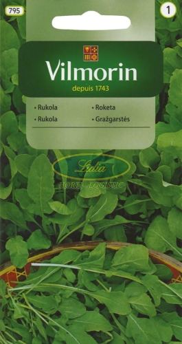 RUKOLA JEDNOROCZNA 3g GC1