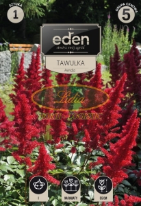 TAWUŁKA CZERWONA 1 SZT