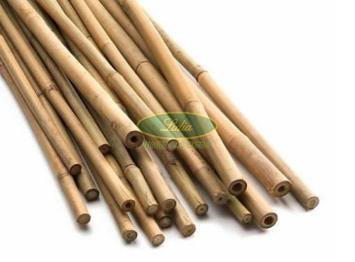 TYCZKA BAMBUSOWA 6/8mm x 900mm TB90