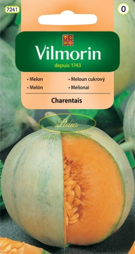 MELON CHARENTAIS 1g