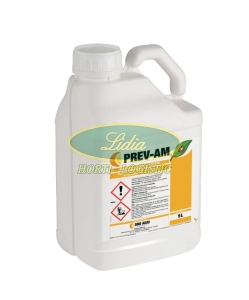 PREV-AM 1 L