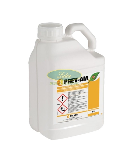 PREV-AM 1 L