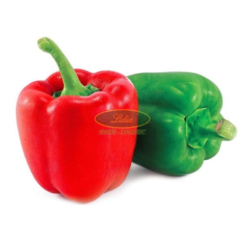 PAPRYKA ARISTOTLE F1 1tys