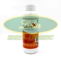 KAISHI 1 L#1