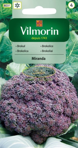 BROKUŁ MIRANDA 1g