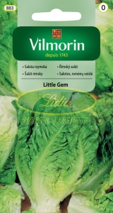 SAŁATA RZYMSKA LITTLE GEM 0,5g