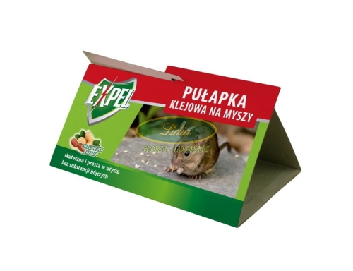 EXPEL PUŁAPKA KLEJOWA NA MYSZY