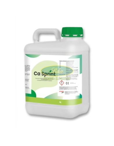 CA SPRINT 5L