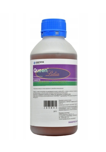 QUEEN 1L