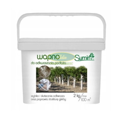 WAPNO DO ODKWASZANIA PODŁOŻA 2kg