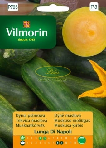 DYNIA LUNGA DI NAPOLI PIŻMOWA 2g
