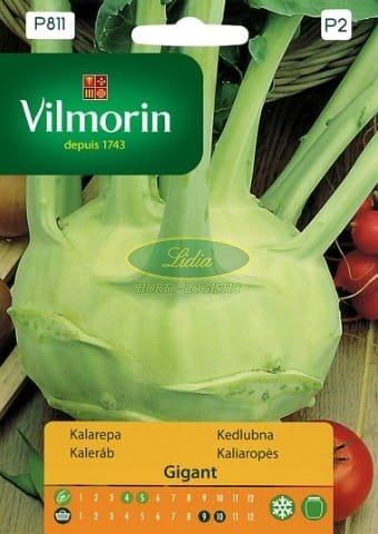 KALAREPA GIGANT 2g P811