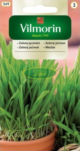 NASIONA NA KIEŁKI JĘCZMIEŃ ZIELONY 20g