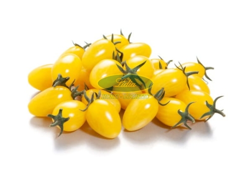 POMIDOR ZITRONINA 100 N