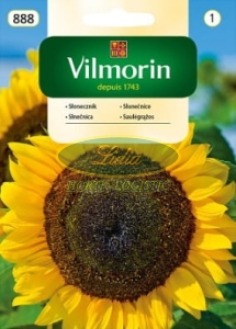 SŁONECZNIK OGRODOWY 20g