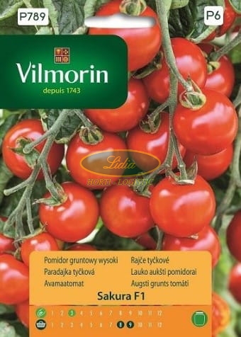 POMIDOR SAKURA F1 9n