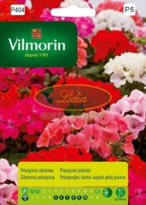 PELARGONIA RABATOWA MIESZANKA 10n