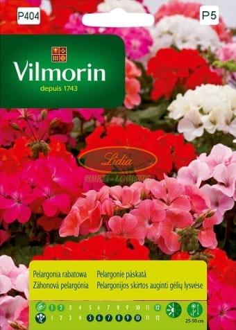 PELARGONIA RABATOWA MIESZANKA 10n