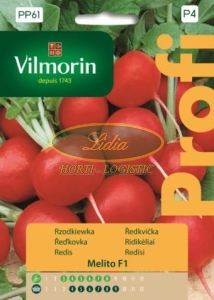 RZODKIEWKA MELITO F1 200n