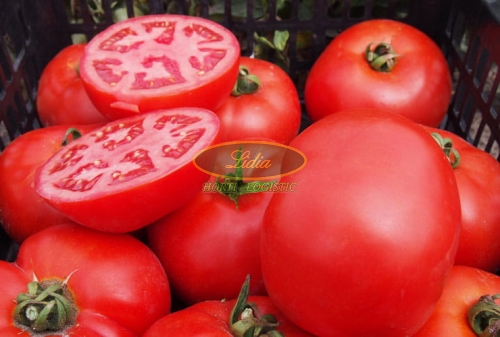 POMIDOR RED DEUCE F1 5 TYS