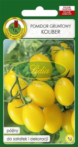 POMIDOR GRUNTOWY KOLIBER 1g