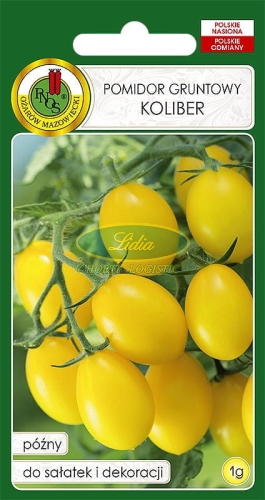 POMIDOR GRUNTOWY KOLIBER 1g