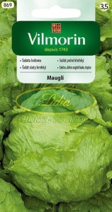 SAŁATA LODOWA MAUGLI KRUCHA 1g