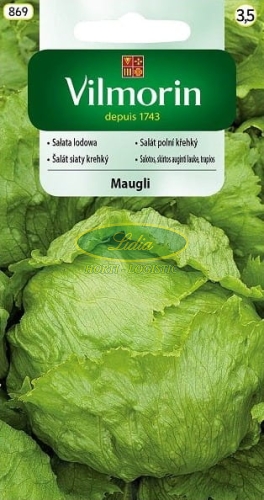 SAŁATA LODOWA MAUGLI KRUCHA 1g