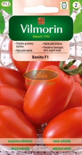POMIDOR BENITO F1 10z