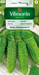 OGÓREK ALLADYN SKIERNIEWICKI F1 5g