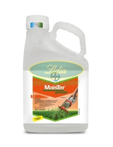 MAISTER POWER 42,5 OD 5L