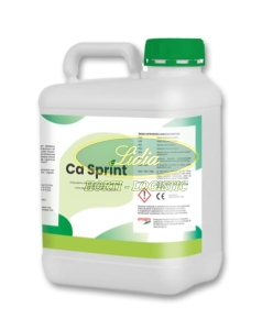 CA SPRINT 20L