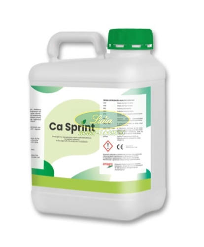 CA SPRINT 20L