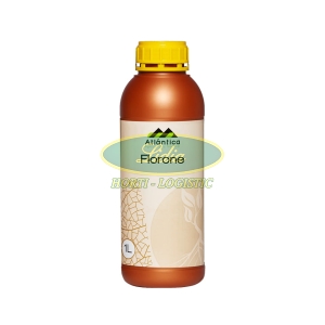 FLORONE 1 L