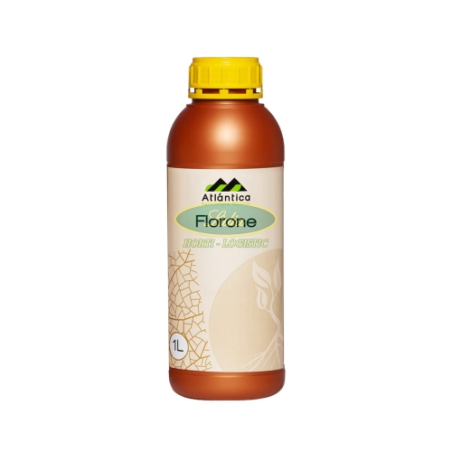 FLORONE 1 L