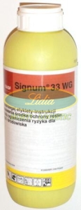 SIGNUM 33 WG 2,5kg