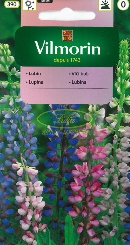 ŁUBIN LETNI HARTWEGA 5 g