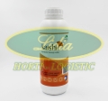 KAISHI 1 L#2