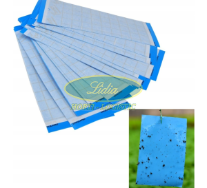 TABLICE LEPNE NIEBIESKIE 24x17cm 10szt