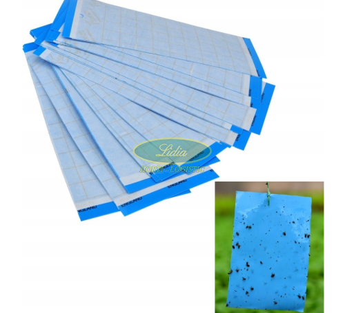 TABLICE LEPNE NIEBIESKIE 24x17cm 10szt