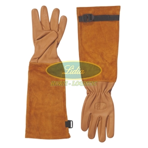FELCO - RĘKAWICE DO RÓŻ XL - EXTRA LARGE