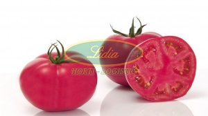 POMIDOR PINK IMPRESSION 500n