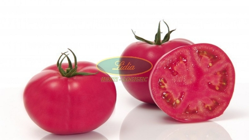 POMIDOR PINK IMPRESSION 500n